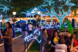 Christmas Lights in a park (lighting automation)