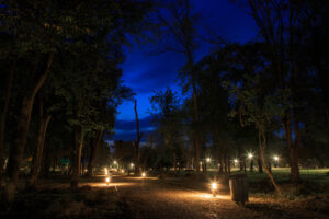 Lanterns in the park along the alley at night or at night