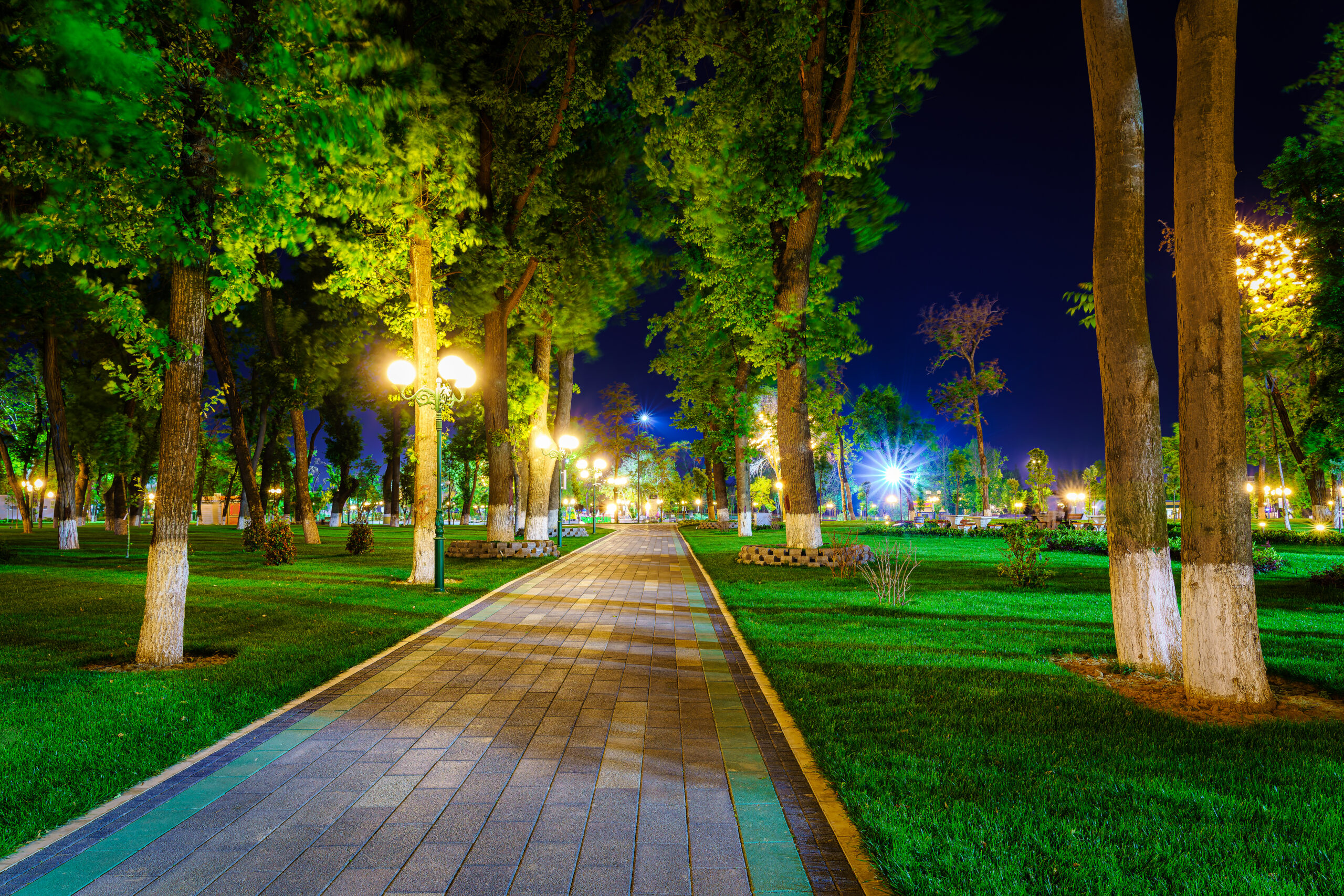 City night park in early summer or spring with pavement, lanterns, young green lawn and trees. Landscape. with Smart Lighting