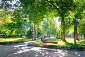 Public Park 